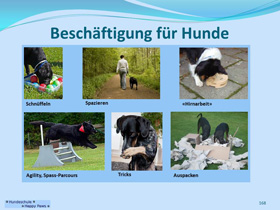 Besch&auml;ftigung