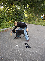 Spiel