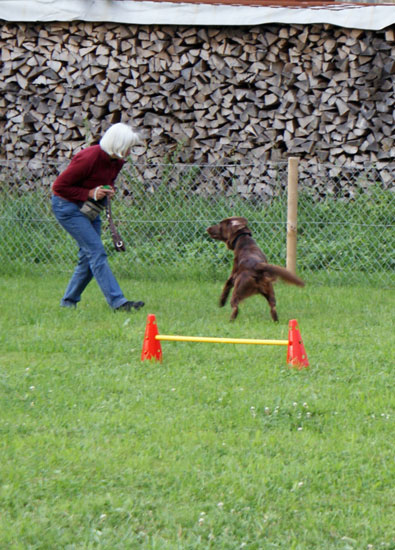 chaver_pirouette.jpg - Chaver und Frauchen beim gemeinsamen Spiel