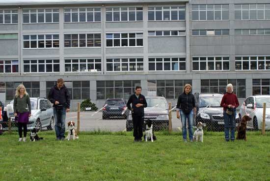 gruppe_5.jpg - Aufstellen für ein bisschen Unterordnung laufen