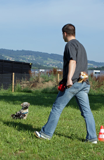 jambo_warten.jpg - Herrchen läuft ein grosses O während Jambo wartet