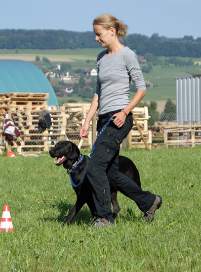 sapo_fuss.jpg - Sapo, ein Labrador, ist schon eine ganze Weile dabei und macht das prima