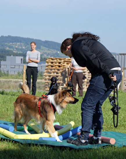 tokaya_blache.jpg - ...und holt bei Frauchen ihre Belohnung ab