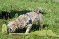 jambo_tuch_4