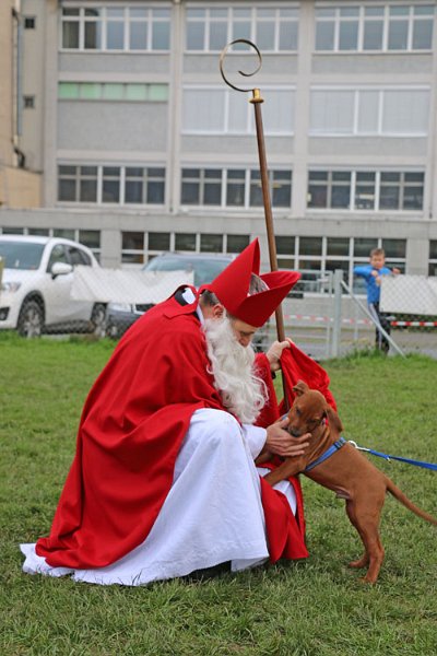 IMG_1492.jpg
