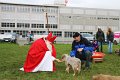 IMG_1481