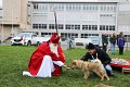 IMG_1501