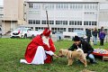IMG_1502