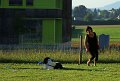 IMG_0011