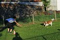 IMG_0100