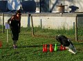 IMG_0114