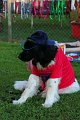 IMG_0125