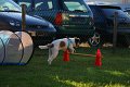 IMG_0176