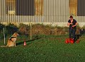 IMG_0261