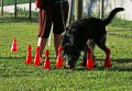 IMG_9154