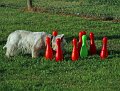 IMG_9189