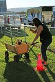 IMG_9203
