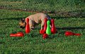 IMG_9273