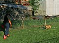 IMG_9313