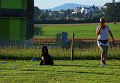 IMG_9467