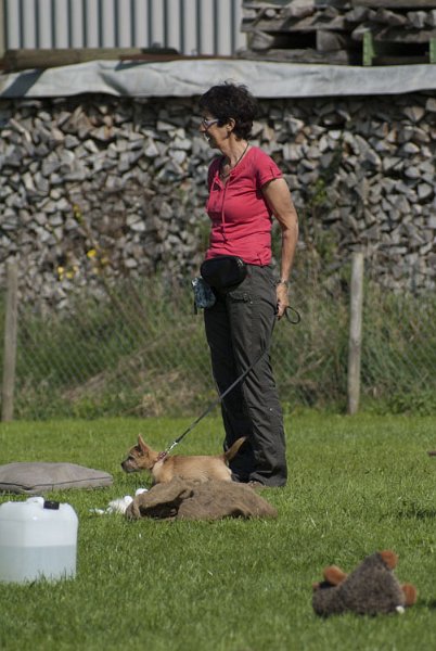_DSC5317.jpg - Bonny mit Frauchen
