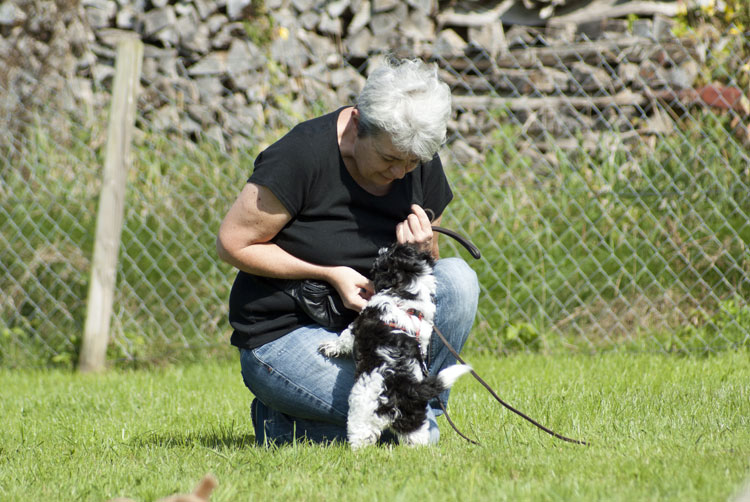 _DSC5366.jpg - Gismo mit Frauchen