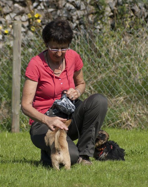 _DSC5385.jpg - Bonny bekommt Streicheleinheiten von Frauchen