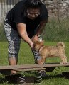 _DSC5426