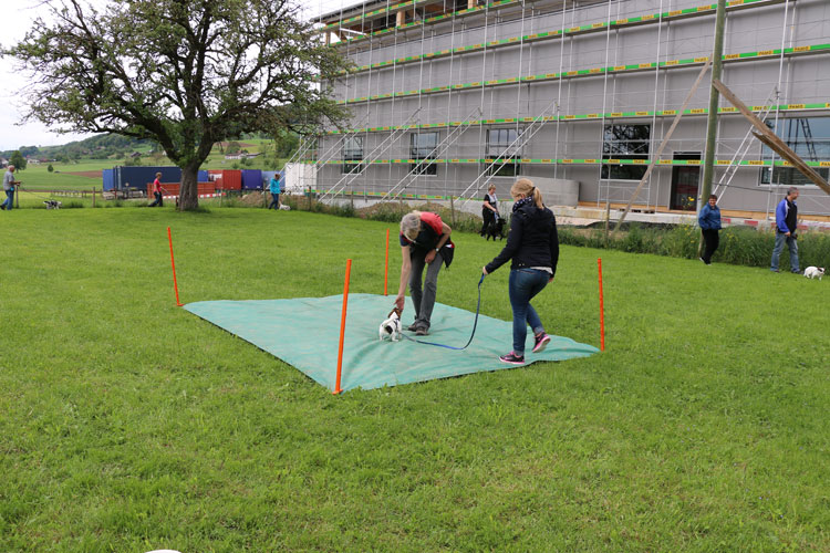 IMG_0003.jpg - Kennenlernen neuer Bodenstrukturen