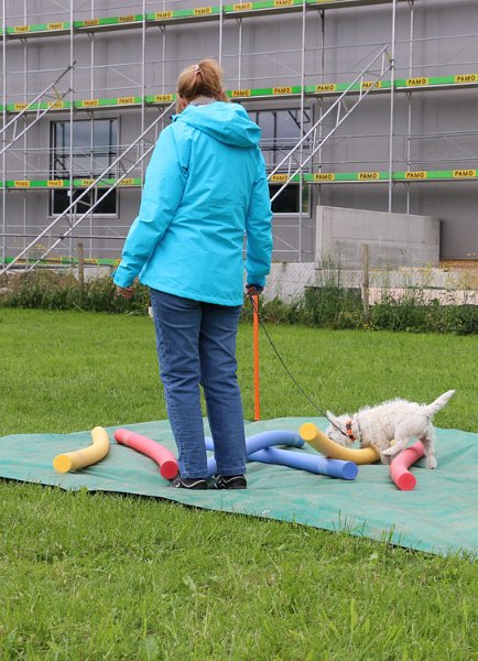 IMG_0014.jpg - Interessiert wird alles unter die Lupe genommen