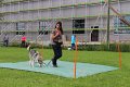 IMG_0006