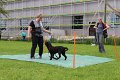 IMG_0012