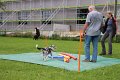 IMG_0017