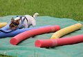 IMG_0019