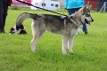 IMG_0054